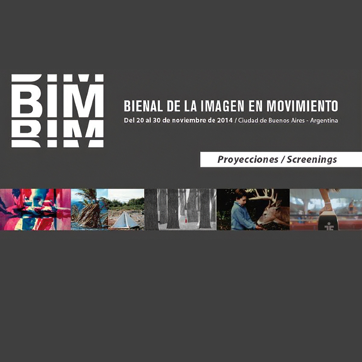 Bienal de la Imagen en Movimiento Buenos Aires 2014