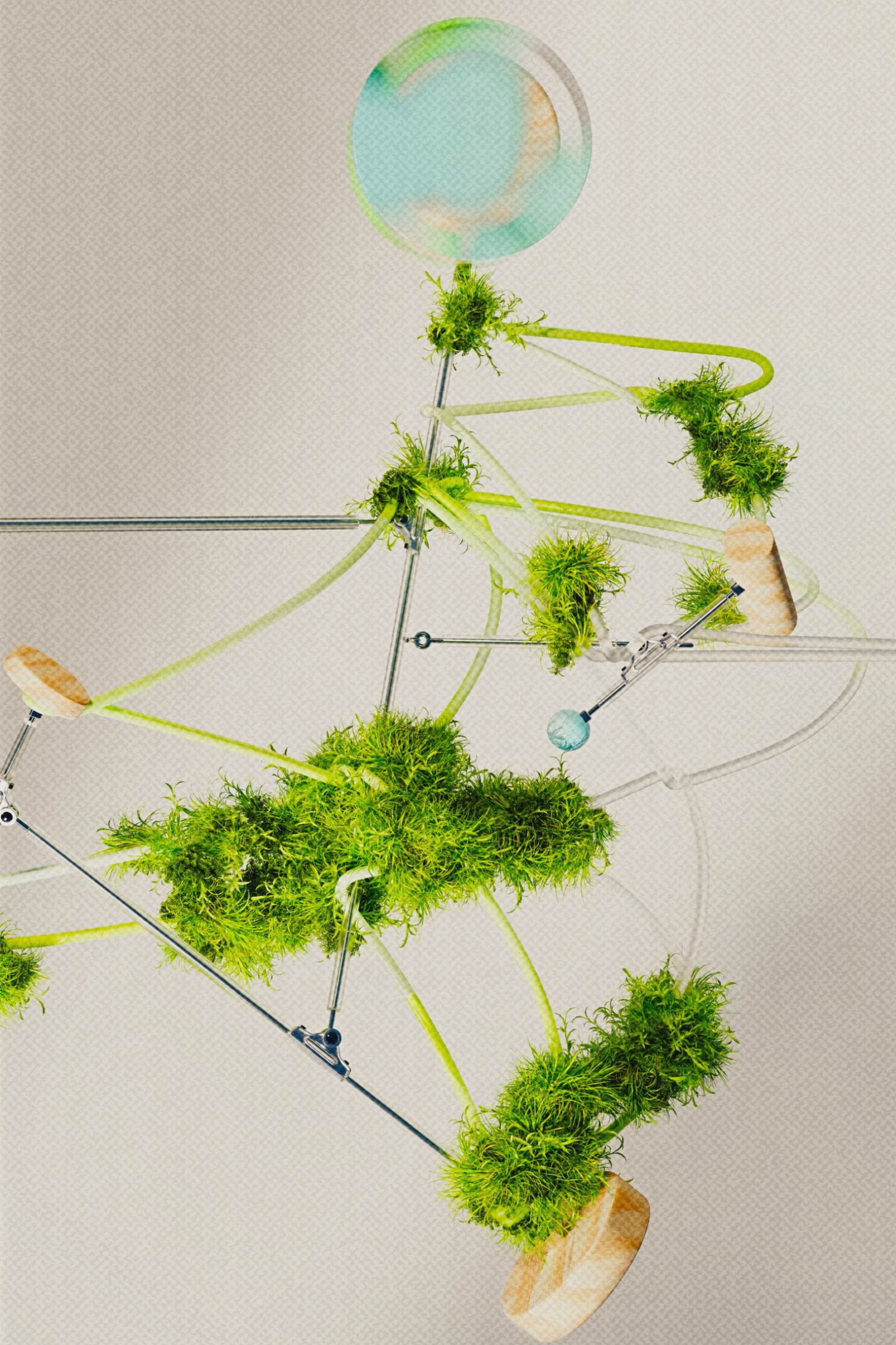 The House To Be — Decentral Places